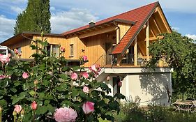 Weinquartier - Weinrebenblick Kleindienst